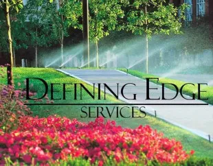 Defining Edge Services logo