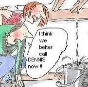 Dennis Bouwell Roofing logo