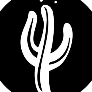 Desert Stone Concepts logo