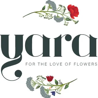 Design Studio Yara logo
