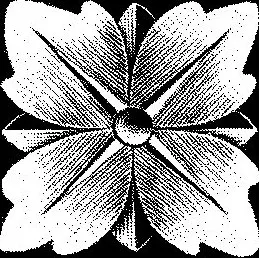 DesignCo logo