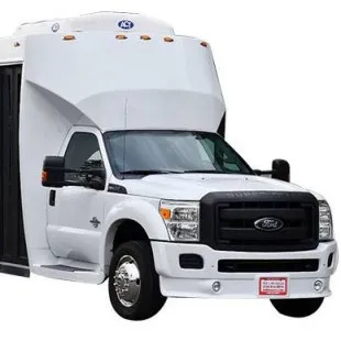 Dfw party bus limo logo