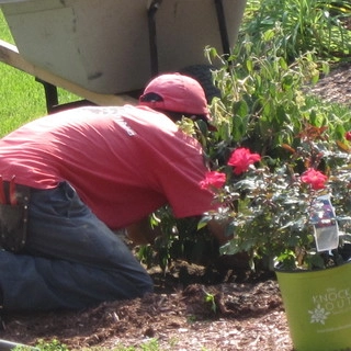 Distinctive Landscaping, Inc. logo