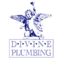 Divine Plumbing logo