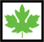 DK Lawrence and Design Studios logo