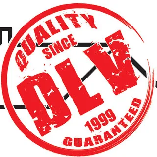 DLV Roofing - Asheville logo