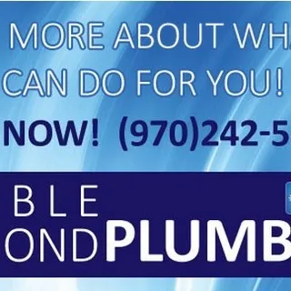 Double Diamond Plumbing logo