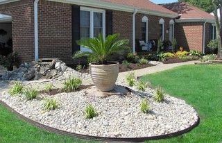 Dr. Dan's Landscaping & Architectural Design logo