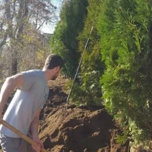 Dracut Landscaping logo