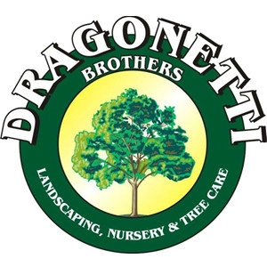 Dragonetti Brothers Landscapes logo