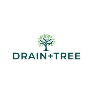 Drain + Tree logo