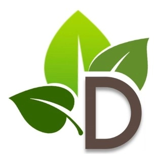 Dreamscapes Landscaping logo