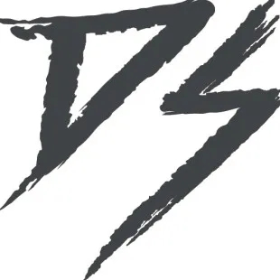 DS Design Studio LLC logo