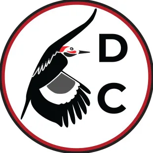 Dundon Construction LLC logo