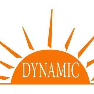 Dynamic Cleaning Systems Inc. logo