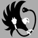 Eagle Electric Services logo