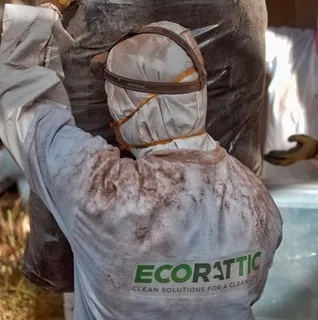 Ecorattic logo