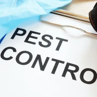 Edisto Pest Control logo