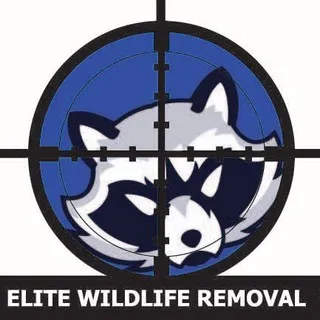 Elite Wildlife Removal - Pest Control Services in Merrifield, VA