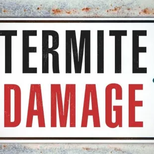 Evergreen City Termite Removal Experts logo