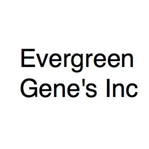 Evergreen Gene's Inc - Landscape Construction in Fernley, NV
