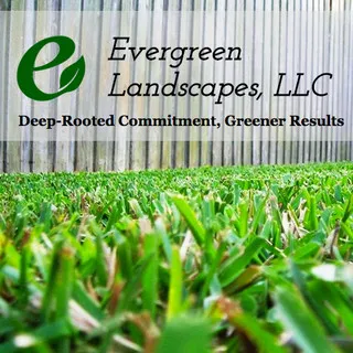 Evergreen Landscapes logo