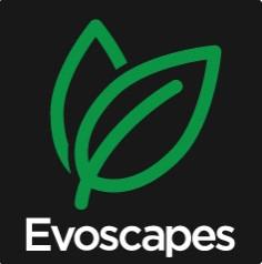 Evoscapes, Luxury Landscape Designs - Outdoor Lighting Installation in San Marcos, CA