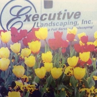 Executive Landscaping logo