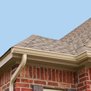 Exterior Guys, LLC logo
