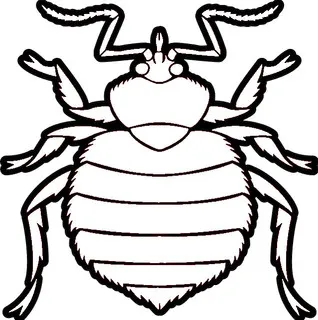 Extreme Bedbug Extermination logo