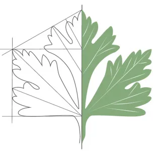 Fancy Parsley Architecture + Design logo