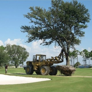 Florida Innovative Landscape logo