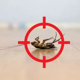Fort Western Pest Control Solutions logo