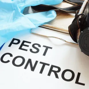Gainesville Pest Control - Pest Control Services in Newberry, FL