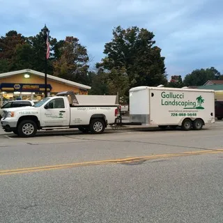Gallucci Landscaping logo