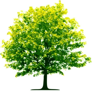Garden Environments, Inc. logo