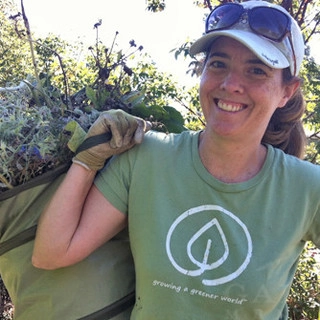 Garden Mentors inc logo