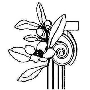 Garden Traditions Designs logo