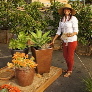 Gardenscapes By Claudia - Garden Remodeling in San Marcos, CA