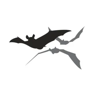Get Bats Out Brandon logo