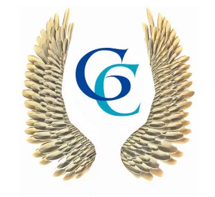 Goddess Construction LLC logo