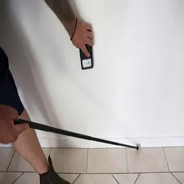 Gold Termite Removal Experts logo