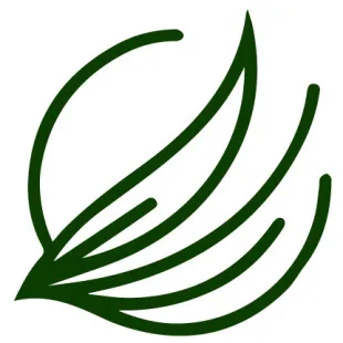 Green Grass Lubbock - Deck Building & Repair in Anton, TX