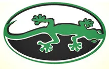 Green Lizard LLC logo