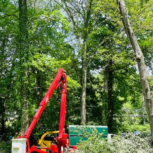 Greenleaf Tree Service logo