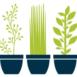 Growing Places Interior Landscape Inc. - Landscape Design in Carson, CA