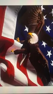 Hawks wildlife logo