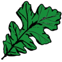 Healey Landscape, LLC logo