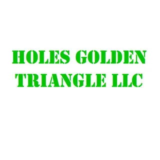 Holes Golden Triangle LLC logo