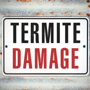Hub City Termite Experts logo
